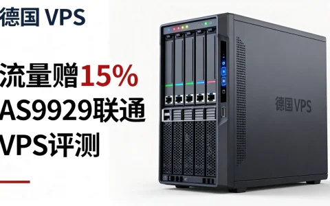 咸鱼云SaltyfishTech联通AS9929德国VPS流量赠15%，VPS评测哪家强？