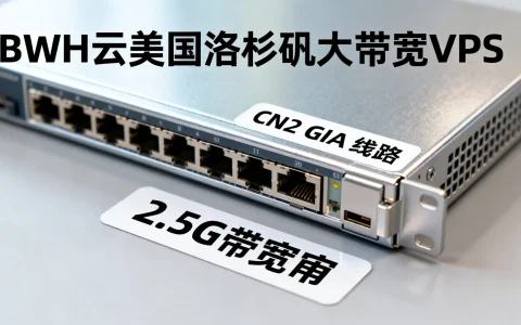 BWH云美国洛杉矶大带宽VPS，CN2 GIA线路2.5G带宽，VPS评测真的值得信赖吗？