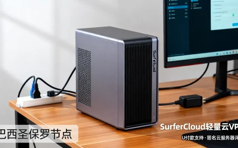 SurferCloud轻量云VPS在巴西圣保罗表现如何？U付款支持下的匿名云服务器评测解析？