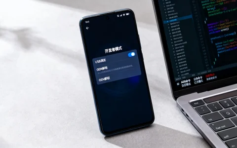 开启开发者模式有什么危害，开发者模式开了会怎么样