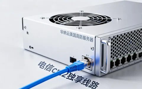 华纳云美国高防服务器怎么样？电信cn2独享线路好用吗？