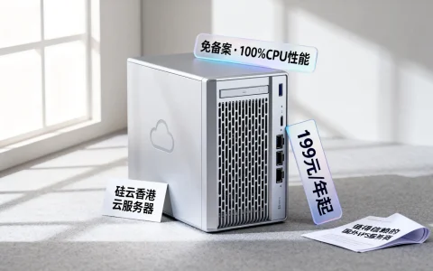 硅云香港云服务器199元/年起，免备案，100%CPU性能，值得信赖的国外VPS服务商吗？
