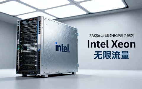 RAKsmart海外BGP混合线路怎么样，Intel Xeon无限流量服务器推荐