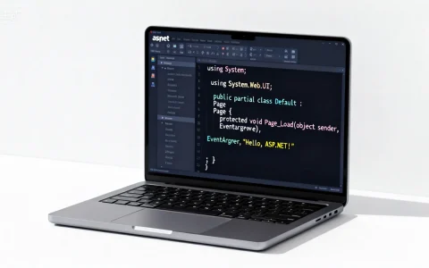 aspnet的代码怎么写？aspnet的代码示例