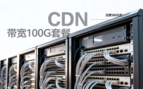 国内大宽带高防CDN租用多少钱？高防CDN租用价格一览