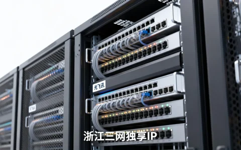 绍兴高防服务器哪家好，光飞讯浙江三网独享IP怎么样