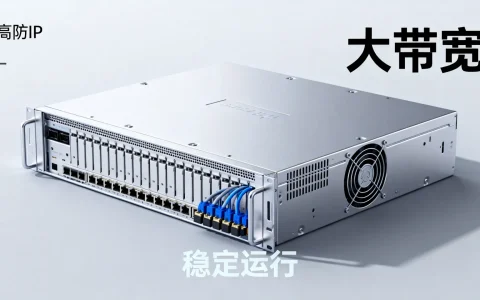 国内大宽带高防IP服务器怎么样？高防服务器大带宽更稳定