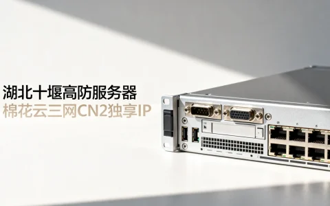 湖北十堰高防服务器哪家好？棉花云三网CN2独享IP怎么样？