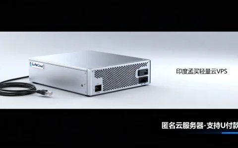 SurferCloud印度孟买轻量云VPS，匿名云服务器支持U付款，性价比如何？值得信赖吗？