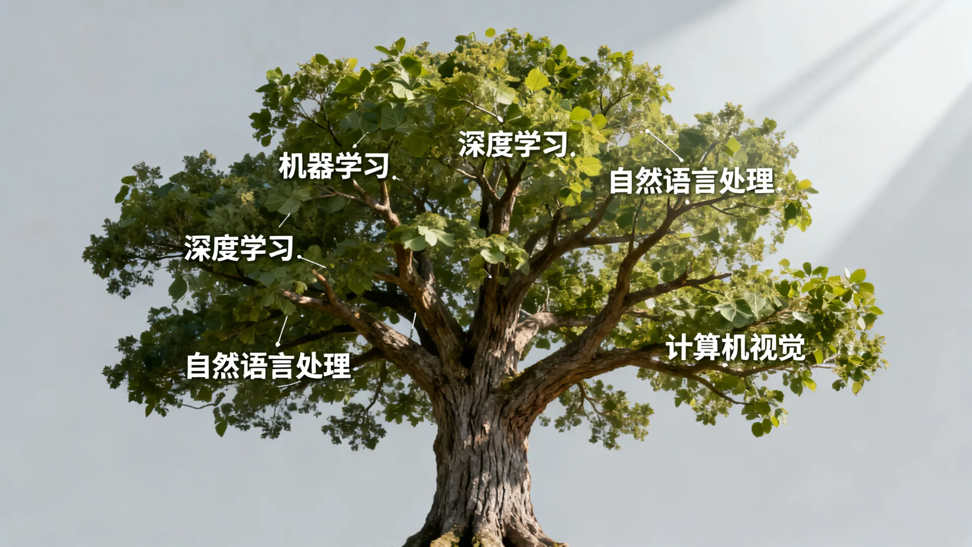 ai知识树 ai知识树