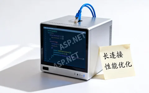 ASP.NET长连接为何如此关键？揭秘其提升Web性能的奥秘！