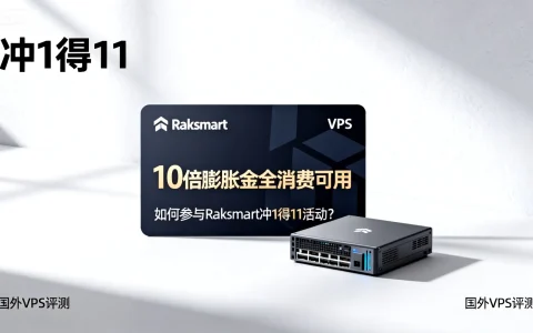 Raksmart预充值冲1得11，10倍膨胀金全消费可用！ - 如何参与Raksmart冲1得11活动？ - 国外VPS评测