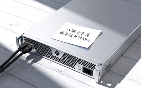 八骏云香港服务器月付59元怎么样，香港服务器哪家好