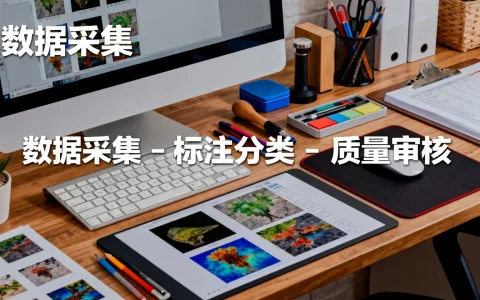 国内大数据标注怎么做？数据标注服务流程详解