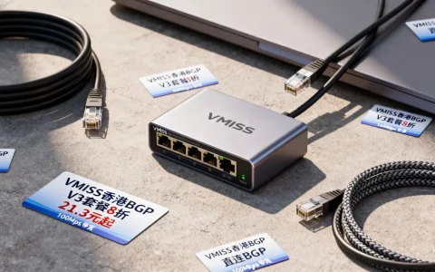 VMISS香港BGP V3套餐8折，21.3元起，直连BGP，100Mbps带宽，这性价比如何？
