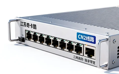 江苏奇卡酷香港CN2怎么样？三网高防独享服务器推荐吗？