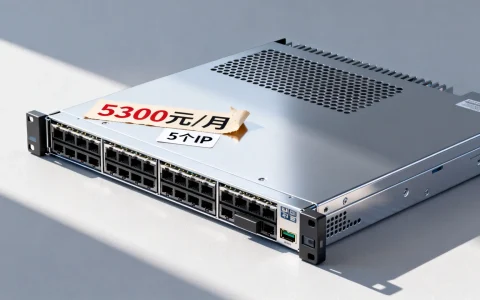 819云韩国服务器配置如此强大，5300元/月5个IP，国外VPS性价比如何？