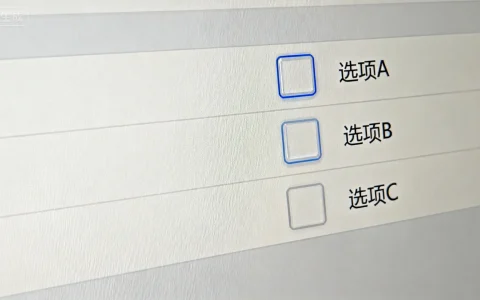 ASP一般复选框如何实现？掌握复选框应用技巧轻松提升用户体验