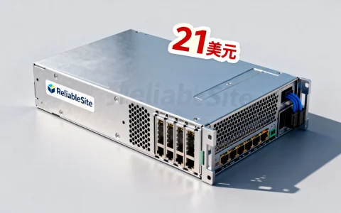 ReliableSite美国独立服务器怎么样？最低21美元值得买吗？