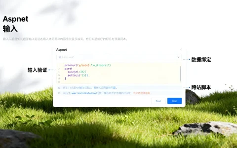aspnet输入框有哪些常见问题及解决方法？