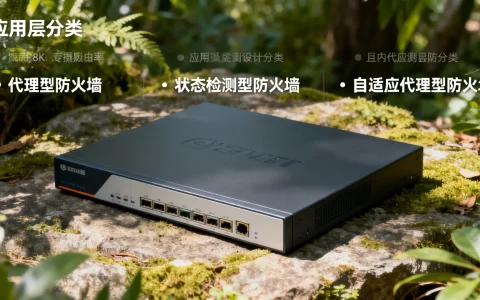 防火墙在应用层究竟划分为哪三类主要应用？