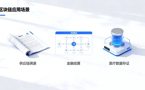 国内区块链可以干嘛，国内区块链有哪些具体应用场景