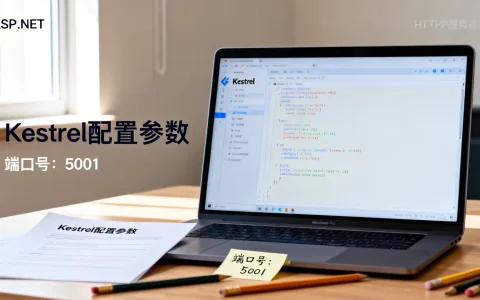 如何搭建ASP.NET HTTP服务器？| Kestrel配置教程