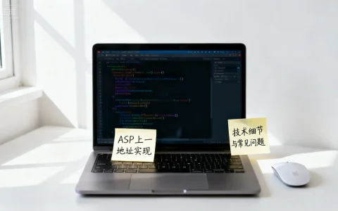 ASP上一页地址如何正确实现？探讨技术细节与常见问题