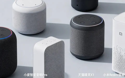 AI智能音响平台怎么选，智能音响哪个牌子性价比高