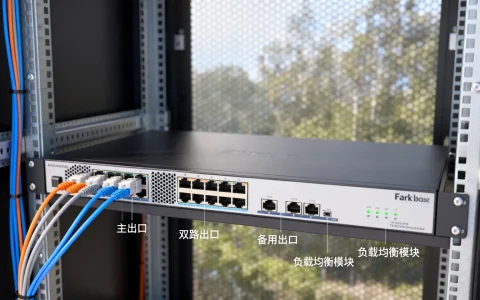 防火墙双路出口负载均衡的原理和应用场景有哪些？