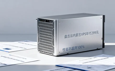 盘古云内蒙古VPS年付299元，性能不超开100%，实测数据如何？