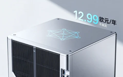 AlphaVPS黑五值得买吗？12.99欧元一年不限流吗？