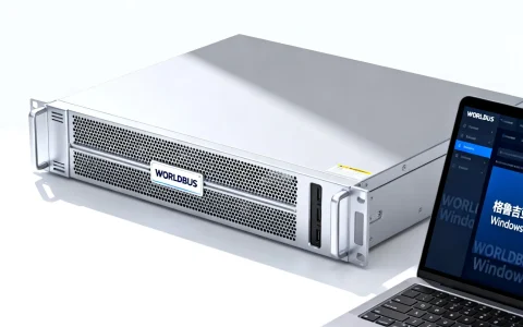格鲁吉亚VPS怎么样，WORLDBUS便宜Windows VPS值得买吗