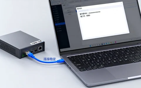 如何正确设置服务器地址及端口号，避免连接错误问题？