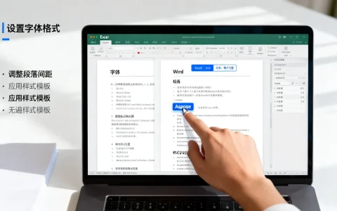 如何用Aspose设置格式？Excel/Word格式设置教程详解