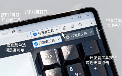 ie11 开发者工具怎么打开，ie11 开发者工具打不开怎么办