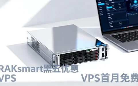 RAKsmart黑五优惠怎么样？VPS首月免费值得买吗？