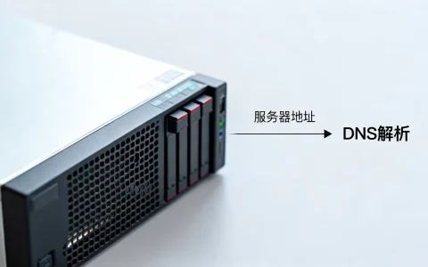 服务器地址与DNS有何区别？它们之间真的就是等同关系吗？