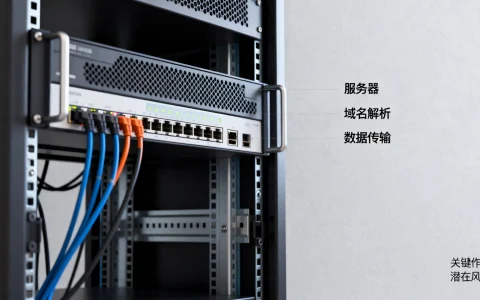 服务器域名关联究竟有何深意？揭秘背后的关键作用与潜在风险！