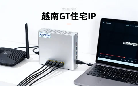 TotHost越南GT服务器怎么样？双ISP住宅IP流媒体解锁好吗？