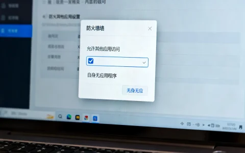 为何防火墙设置允许其他应用访问而自身却没有应用程序？