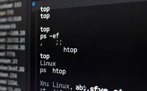 服务器怎么查看CPU进程？Linux查看进程命令有哪些？