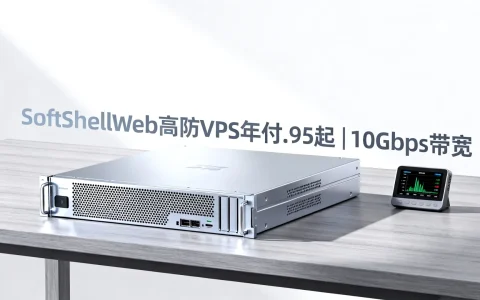 盐湖城VPS哪家便宜又防DDoS攻击？ | SoftShellWeb高防VPS年付$12.95起｜10Gbps带宽
