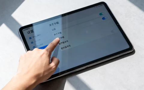 华为平板怎么进入开发者模式？解锁隐藏功能技巧