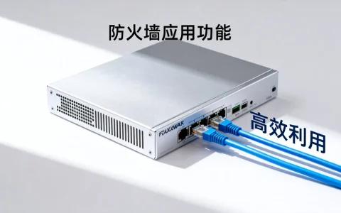 防火墙应用功能究竟有哪些？如何高效利用？揭秘30字内！