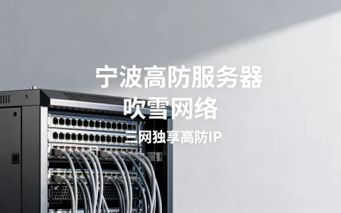 宁波高防服务器哪家好？吹雪网络三网独享高防IP怎么样？
