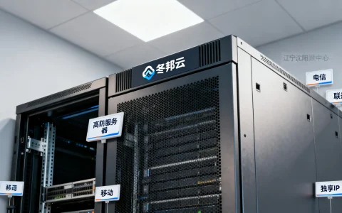 辽宁沈阳高防服务器哪家好，冬邦云电信联通移动独享IP靠谱吗？