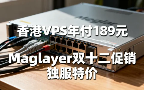 香港VPS年付189元，Megalayer双十二促销，独服特价，你确定不来看看？