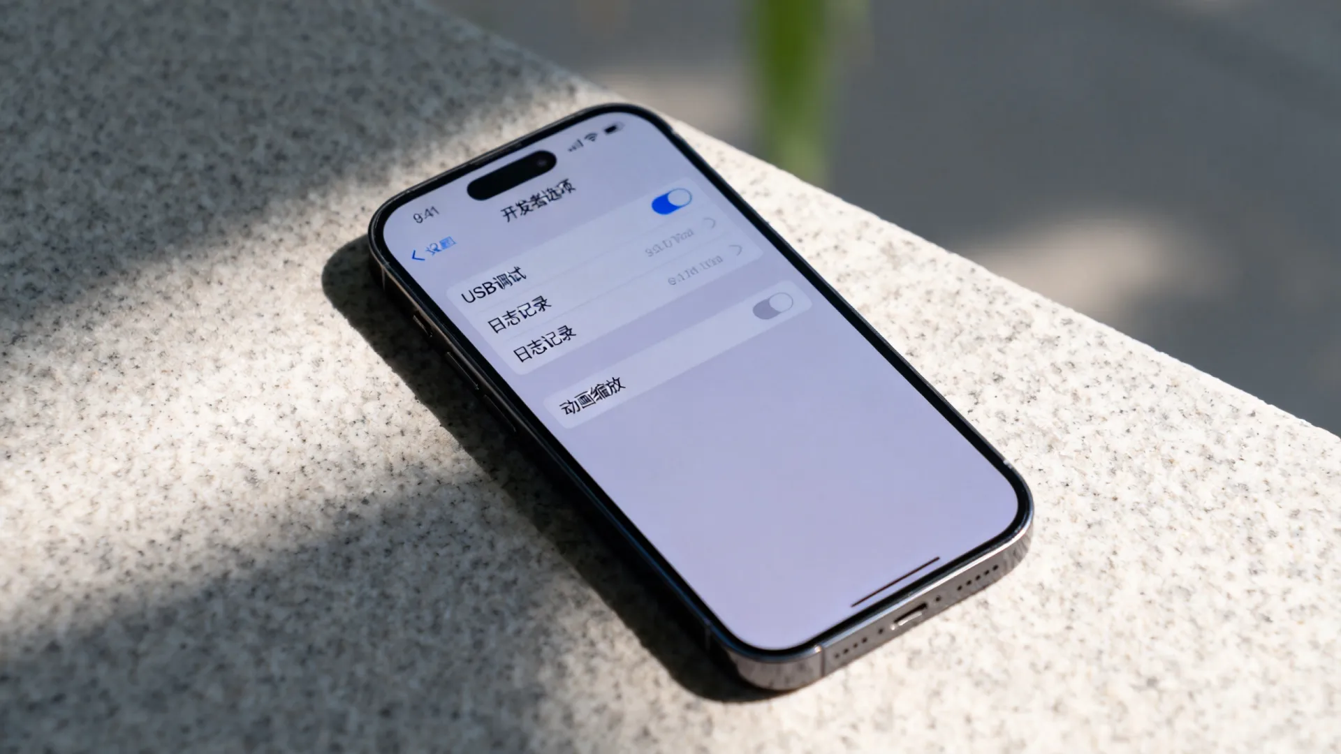 苹果设置里的开发者