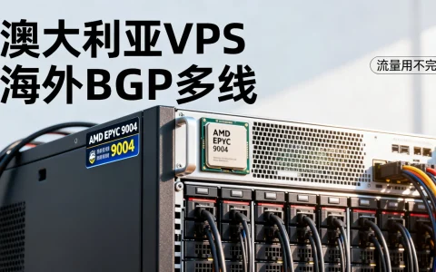 澳大利亚VPS怎么样，海外BGP多线AMD EPYC 9004流量用不完
